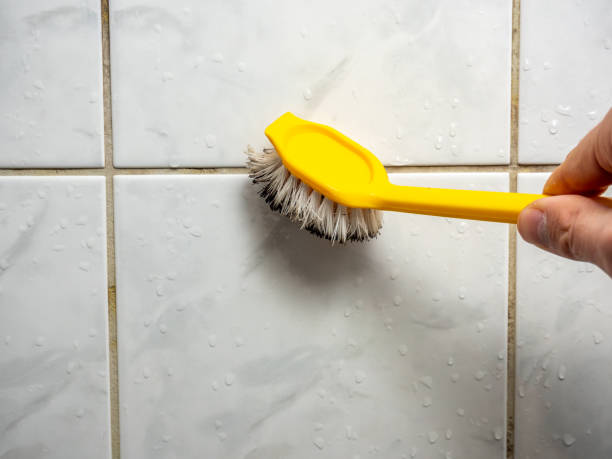Best Certified Mold Removal  in Wilton Center, CT