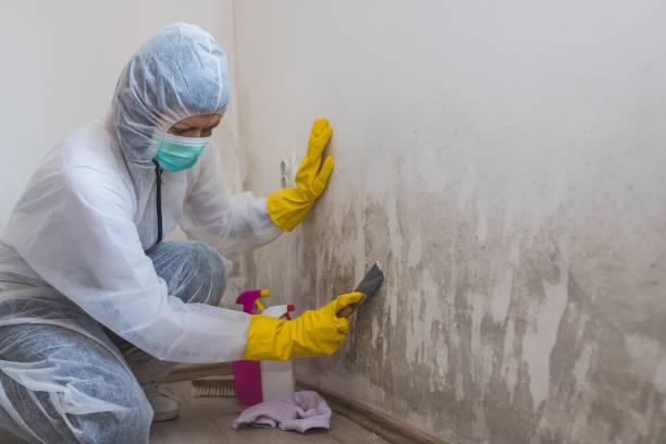 Best Mold Testing  in Wilton Center, CT