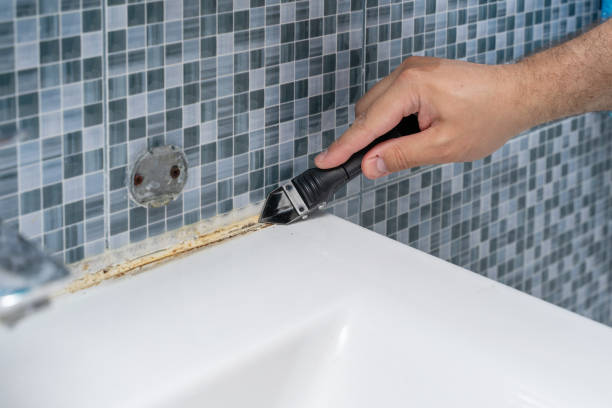 Best Fast Mold Removal  in Wilton Center, CT